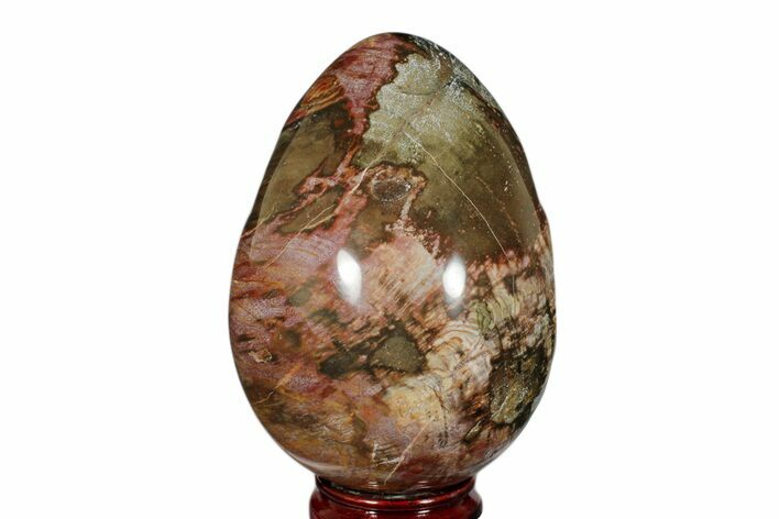 Colorful, Polished Petrified Wood Egg - Madagascar #172531